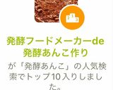 発酵フードメーカーde発酵あんこ作り作り方13写真