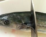 鰆を捌いてみた作り方1写真