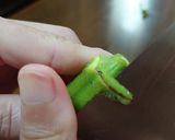 夏野菜のヘルシー南蛮漬け作り方2写真