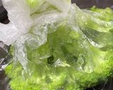 ブロッコリー楽に洗おう作り方4写真