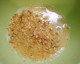 簡単！枝豆のダシ卵焼き　桜エビ風味作り方1写真