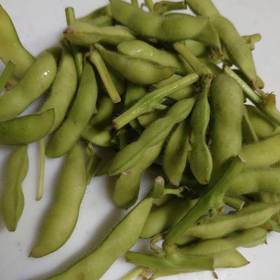 シンプルな枝豆の塩茹で by ズボラなよしこ 【クックパッド】 簡単