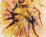 焼き餃子(今更訊けない包み方付き)作り方12写真