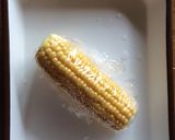 3色夏野菜ゼリー(犬用)作り方1写真