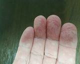 自家製梅肉エキス作り方5写真
