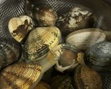 四毒抜き 鯛のアクアパッツァ あさり入り作り方3写真