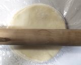 なすの焼き餃子・水餃子　（発酵玉葱使用）作り方8写真