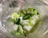白菜ときゅうりの簡単浅漬け作り方3写真