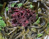 昆布の佃煮　胡麻しそ昆布作り方9写真