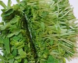簡単!激ウマ!豆苗としらすのごま和え♪作り方1写真