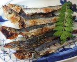 イワシの塩焼き作り方8写真