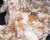お弁当ハンバーガー作り方4写真