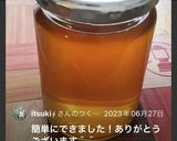 ★簡単!梅シロップ作り方12写真