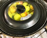 練り梅の作り方(梅から作る梅肉ペースト)作り方4写真