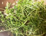 豆苗と舞茸のペペロン風炒め作り方3写真
