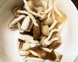肉無根菜たっぷりさっぱり梅照り味野菜炒め作り方10写真