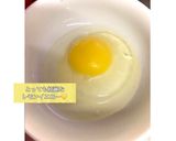 トマ卵炒め(定番/カレー／ベルのタレ味)作り方10写真