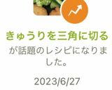 きゅうりを三角に切る作り方5写真