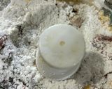 米粉のクラッカー バジル&トマト作り方5写真