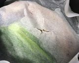 旨塩♡チャーシュー（豚バラ肉）作り方6写真