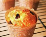 5分★ラムレーズン生チーズケーキ★簡単作り方11写真