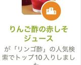 りんご酢の赤しそジュース作り方12写真