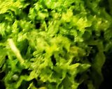 たんぽぽ炒め作り方1写真