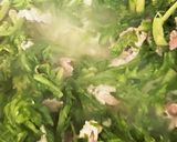 たんぽぽ炒め作り方2写真