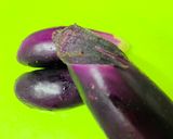 簡単！なすびの煮物→すぐ出来る！作り方1写真