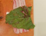 肉まきビーツ作り方4写真