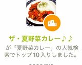 ザ・夏野菜カレー♪♪作り方10写真
