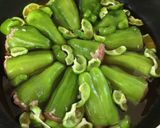 煮るだけ♡我が家のピーマンの肉詰め作り方7写真