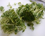 レンジで簡単!豚しゃぶ豆苗作り方1写真