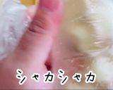 超簡単ドレッシング！美人シーザーサラダ作り方12写真