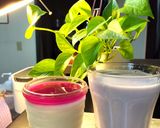 60*冷たい酒粕紫蘇ジュースと*豆乳飲料作り方4写真