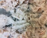 なすと豆腐に豚バラあえ作り方2写真