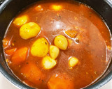 熟成鷄ムネ肉のトマト煮(1週間冷凍熟成)作り方13写真