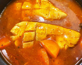 熟成鷄ムネ肉のトマト煮(1週間冷凍熟成)作り方14写真