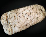 57℃ 鶏むねのペッパーロールチキン弁当作り方8写真