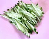 いかそうめんとキュウリの"姜葱醤"和え作り方1写真