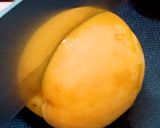 食品乾燥機でつくるアンズのドライフルーツ作り方1写真
