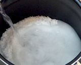 食品乾燥機でつくるアンズのドライフルーツ作り方3写真