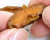 食品乾燥機でつくるアンズのドライフルーツ作り方11写真