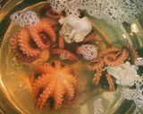 タコのピリ辛炒め(ナクチポックン)作り方8写真