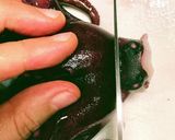 タコのピリ辛炒め(ナクチポックン)作り方11写真
