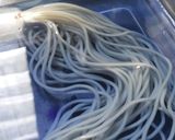 七夕キャラ弁♪織姫と彦星♪作り方3写真