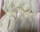 大根とベーコンの餃子作り方3写真