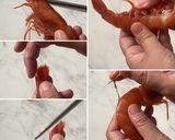 本格カンジャンセウ★えびの醤油漬け作り方3写真