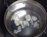 ソルティライチの原点！ ローイゲーオ作り方4写真