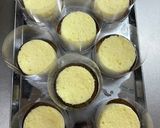 初夏のアソートブルーベリーチーズケーキ作り方34写真